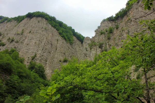 Прекрасна Скеля Літньому Лісі — стокове фото