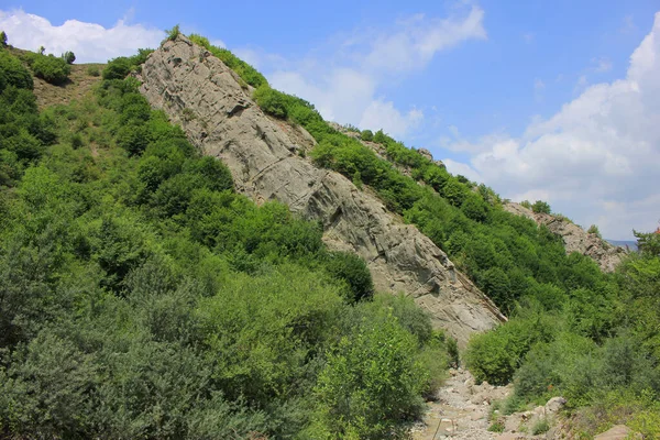 Όμορφη Πέτρα Στο Καλοκαιρινό Δάσος — Φωτογραφία Αρχείου