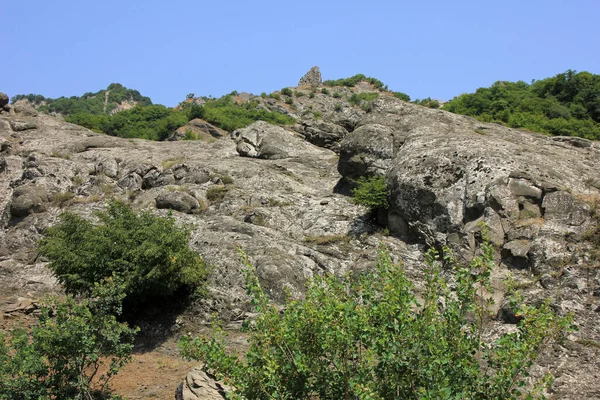 Όμορφη Πέτρα Στο Καλοκαιρινό Δάσος — Φωτογραφία Αρχείου