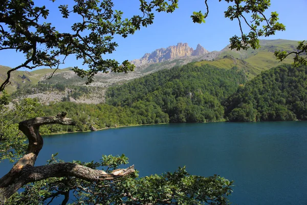 Azerbaïdjan Ganja Beau Lac Cerfs Montagne — Photo