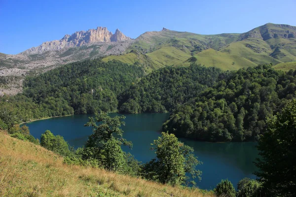 Azerbaycan. Kenevir. Güzel dağ geyiği gölü.