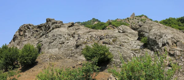 Hermosa Roca Bosque Verano — Foto de Stock