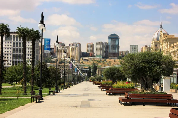 Cidade Baku Azerbaijão 2019 Ano Nova Avenida Inverno — Fotografia de Stock