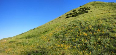 Güzel, yüksek yeşil bir dağ. Khizi dağları. Azerbaycan.