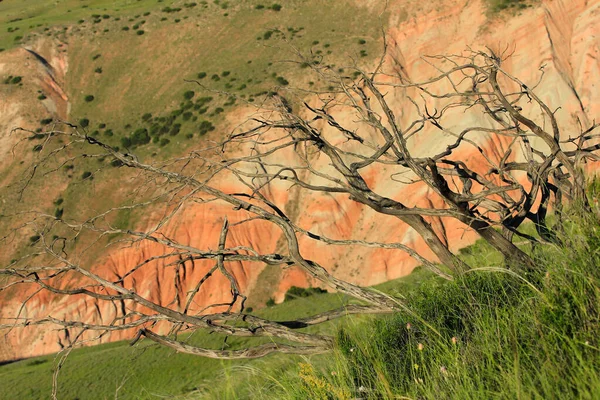 Montañas Khizi Azerbaiyán Hermosas Montañas Rojas — Foto de Stock