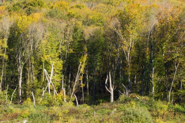 Kız dağlardaki güzel bir gölde dinleniyor..