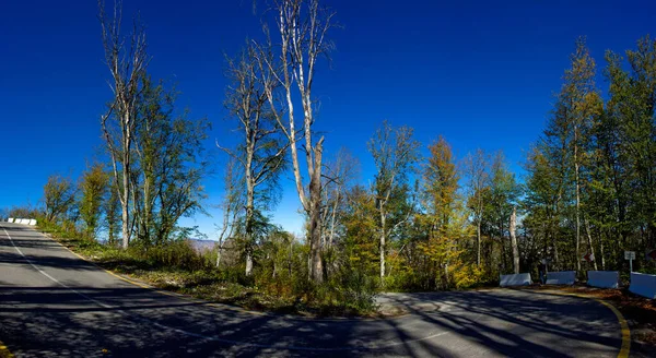 Piękny Ostry Zakręt Drogi Jesiennym Lesie — Zdjęcie stockowe
