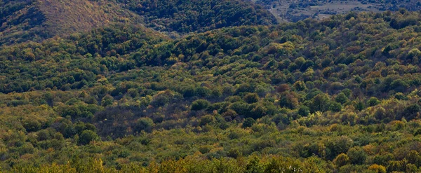 Beautiful Autumn Forest High Mountains — Stock Photo, Image