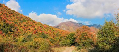 Güzel sonbahar manzarası dağlarda.