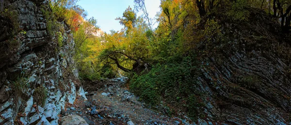 Dağlarda Güzel Bir Vadi — Stok fotoğraf