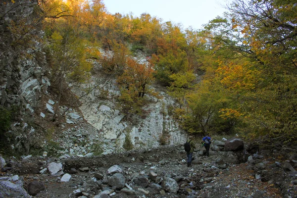 Туристи Гуляють Красивій Ущелині — стокове фото