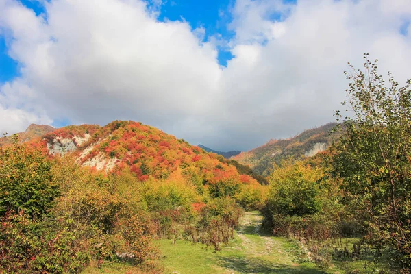 Schöne Herbstlandschaft Den Bergen — Stockfoto