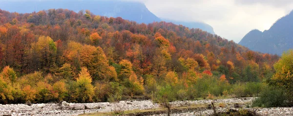 Prachtig Herfstbos Hoog Bergen — Stockfoto