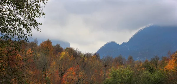 Bella Foresta Autunnale Alta Montagna — Foto Stock