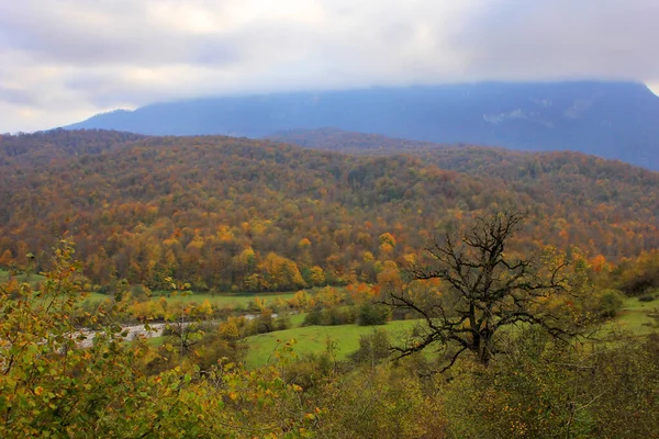 Schöner Herbstwald Hoch Den Bergen — Stockfoto