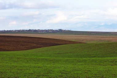 Beautiful green fields. The village of Ivanovka. Azerbaijan.