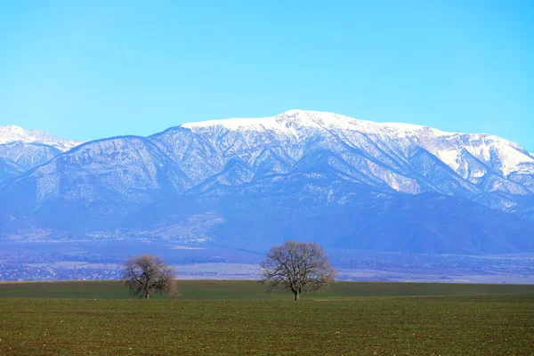 Belas Árvores Campos Verdes Montanhas Fundo Aldeia Ivanovka Azerbaijão — Fotografia de Stock