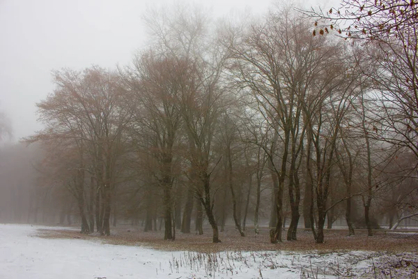 Beautiful Forest Covered First Snow Village Ivanovka Azerbaijan — Photo