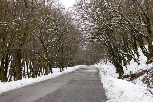 Strada Che Porta Villaggio Lahich Regione Ismayilli Azerbaigian — Foto Stock