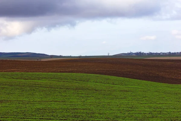 Beautiful Green Fields Village Ivanovka Azerbaijan —  Fotos de Stock