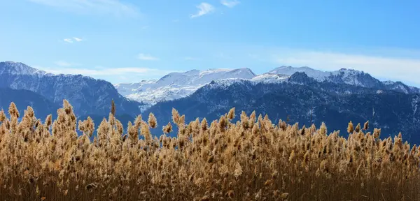 Prachtige Besneeuwde Bergen Met Riet Ismayilli Regio Azerbeidzjan — Stockfoto