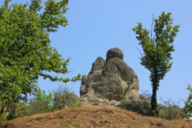 Yaz ormanında güzel bir kaya.
