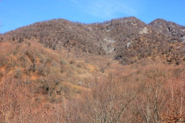 Dağlarda güzel bir sonbahar ormanı.