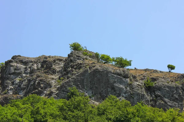 Fragments Fortress Kale Bugurt Mountain Azerbaijan Shemakha — ストック写真