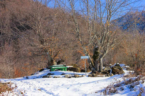 Talistan Azerbaijan 2021 Year Table Winter Forest Relaxation — Photo