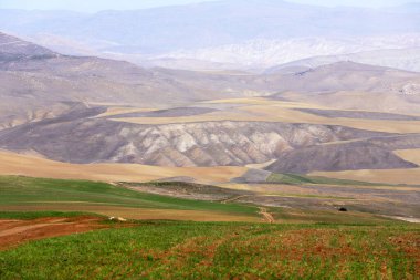 Gobustan dağlarının güzel yaz tatili. Azerbaycan.