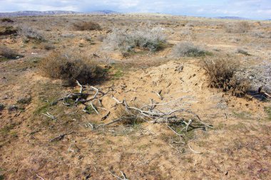 Gobustan bozkırında toprak. Azerbaycan.