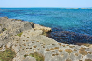 Hazar Denizi 'nin Rocky kıyısında. Mardakan. Azerbaycan.