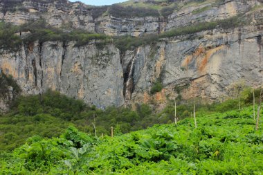 Kafkasya dağlarında güzel bir şelale. Gryzdakhnya köyü. Guba bölgesi. Azerbaycan.