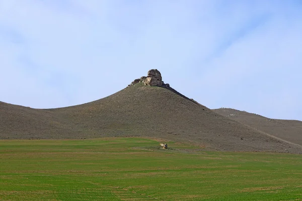 Piękne Zielone Pole Górach Gobustan Azerbejdżan — Zdjęcie stockowe