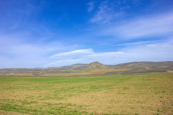 Hermoso Campo Verde Las Montañas Gobustan Azerbaiyán — Foto de Stock