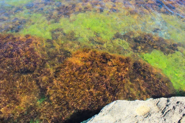 Rocky Coast Caspian Sea Mardakan Azerbaijan — Stock Photo, Image