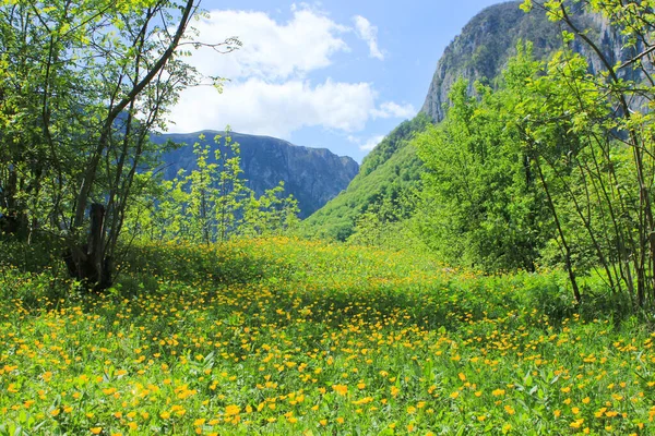 Belos Campos Verdes Nas Montanhas Aldeia Gryzdakhnya Região Guba Azerbaijão — Fotografia de Stock