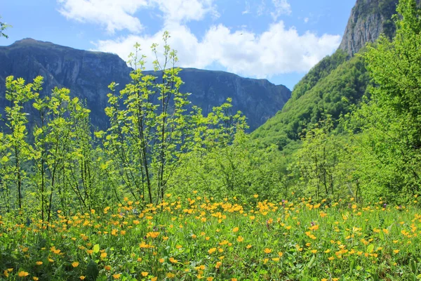 Belos Campos Verdes Nas Montanhas Aldeia Gryzdakhnya Região Guba Azerbaijão — Fotografia de Stock