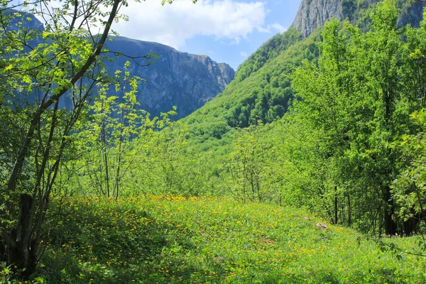 Prachtige Groene Velden Bergen Het Dorp Gryzdakhnya Het Guba Gebied — Stockfoto