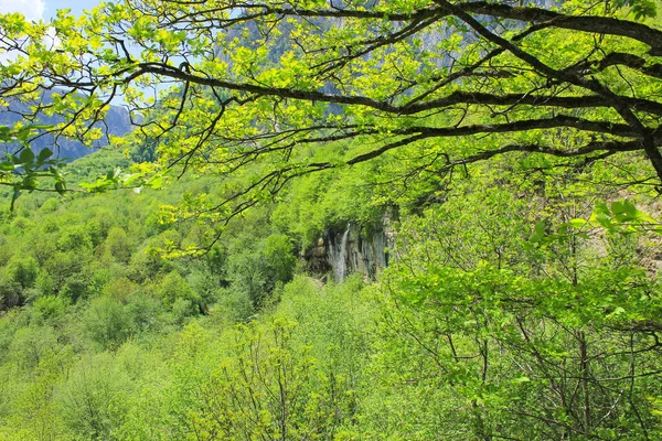 Belle Cascade Dans Les Montagnes Forestières Caucase Village Gryzdakhnya Région — Photo