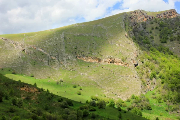 Dağlardaki Güzel Yeşil Tarlalar Gryzdakhnya Köyü Guba Bölgesi Azerbaycan — Stok fotoğraf