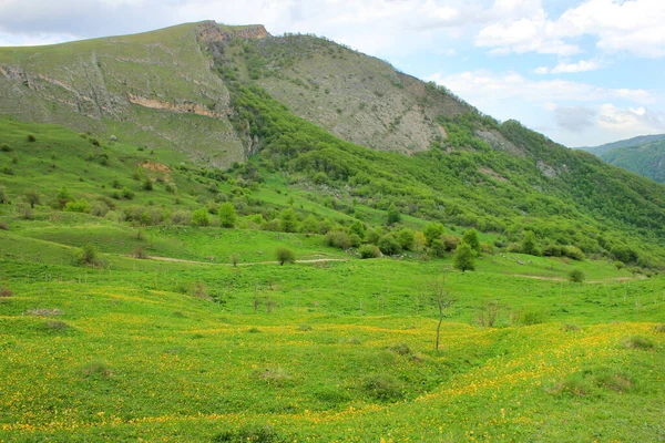 Красивые Зеленые Поля Горах Село Грыздахня Регион Губа Азербайджан — стоковое фото