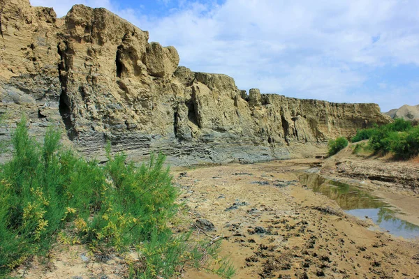 Sangachaly Kasabasının Yakınında Güzel Bir Kanyon Azerbaycan — Stok fotoğraf