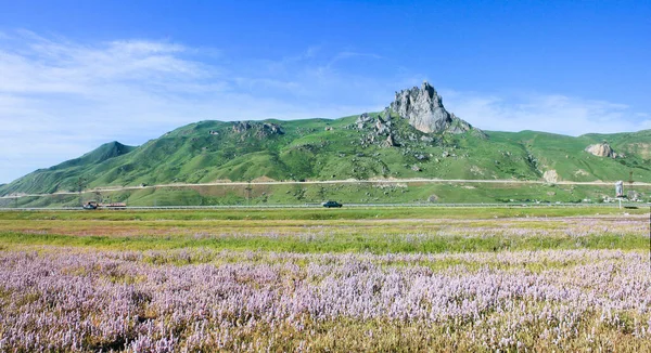 Цветы Сирени Расцветают Возле Священной Горы Бешбармаг Азербайджан — стоковое фото