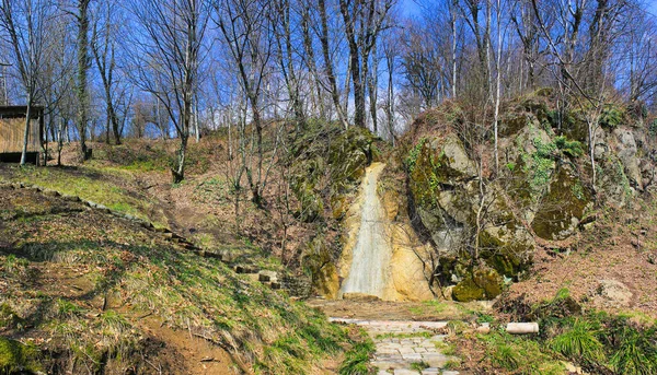 Чудовий Маленький Водоспад Лісі Район Ізмаїллі Азербайджан — стокове фото