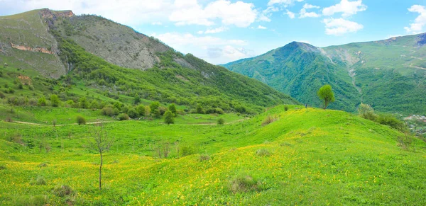Prachtige Groene Velden Bergen Het Dorp Gryzdakhnya Het Guba Gebied — Stockfoto