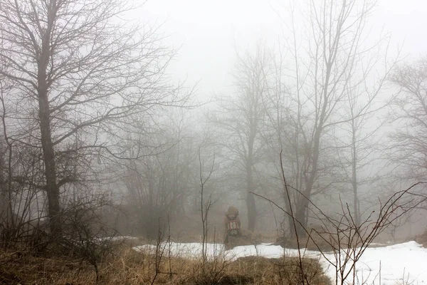 Touriste Est Assis Dans Forêt Brumeuse Hiver — Photo