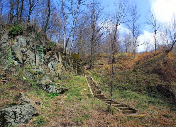 Bela Floresta Primavera Nas Montanhas Azerbaijão — Fotografia de Stock