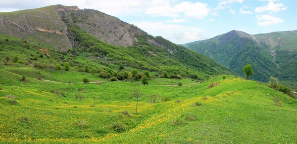 Prachtige Groene Velden Bergen Het Dorp Gryzdakhnya Het Guba Gebied — Stockfoto