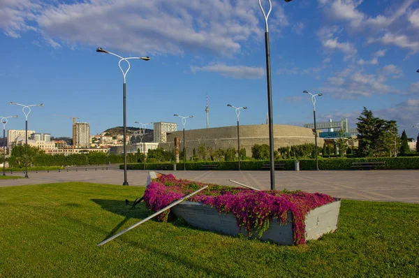Cidade Baku Azerbaijão 2020 Arranjo Flores Avenida Lado Crystal Hall — Fotografia de Stock